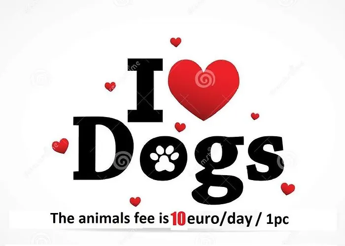 Happy Rich Studio, Self Check-in-24x7,parking-in-the-underground-garage *